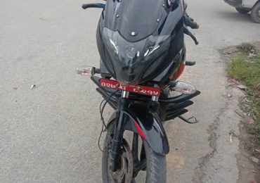 220palsar