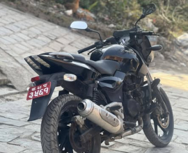 Pulsar220cc – 39 lot