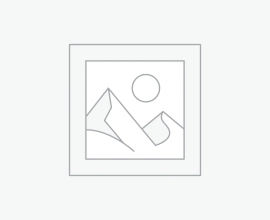 single room for rent