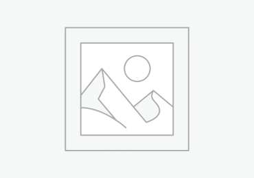 single room for rent